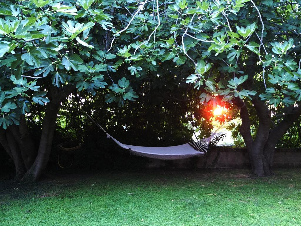 Agriturismo Locanda Pantanello Pitigliano Zewnętrze zdjęcie