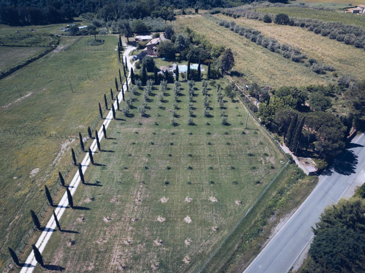 Agriturismo Locanda Pantanello Pitigliano Zewnętrze zdjęcie